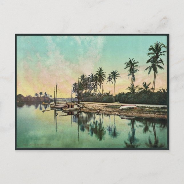 Postal En la rara fotocámara del río Miami (Anverso)