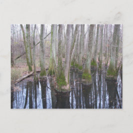 Postal en la tierra de makebelión