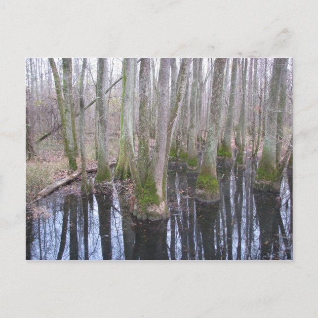 Postal en la tierra de makebelión (Anverso)