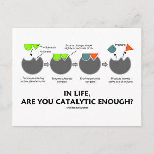 Postal En La Vida, ¿Eres Lo Suficientemente Catalizador?