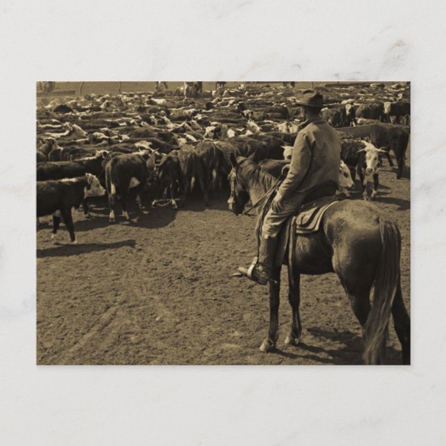 Postal En las llanuras de Texas bajo los cielos del azul (Anverso)