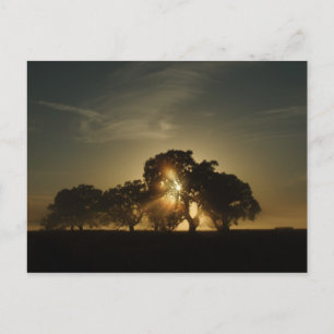 Postal En las mañanas como esta