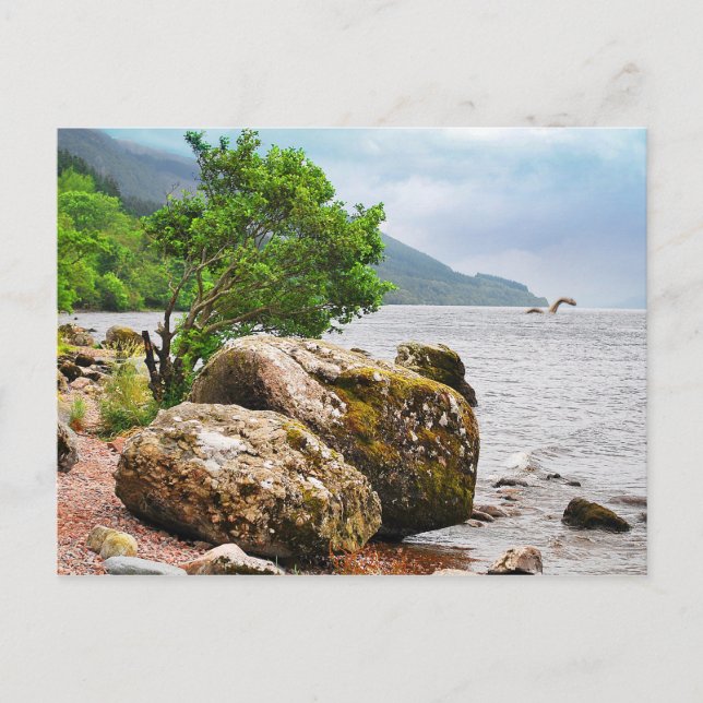 Postal En las orillas de Loch Ness con el monstruo (Anverso)