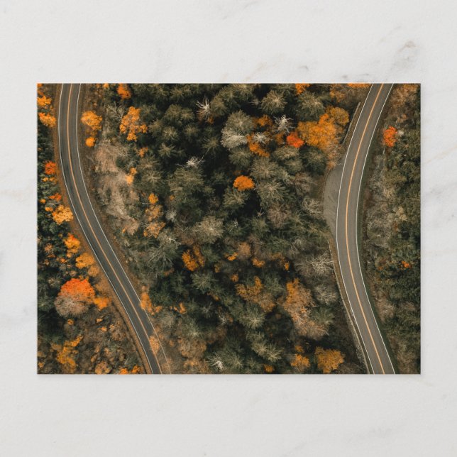 POSTAL EN LAS VÍAS DEL OTOÑO (Anverso)
