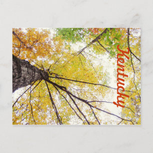Postal En los árboles de JerseyFawn