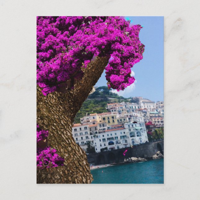 Postal En los viajes se ve la maravilla del mundo diferen (Anverso)