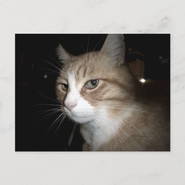 Postal ¿En qué está pensando? (Anverso)