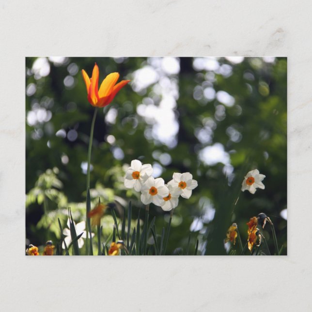 Postal En recuerdo (Anverso)