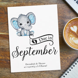 Postal En septiembre: Pequeño cacahuete bebé elefante