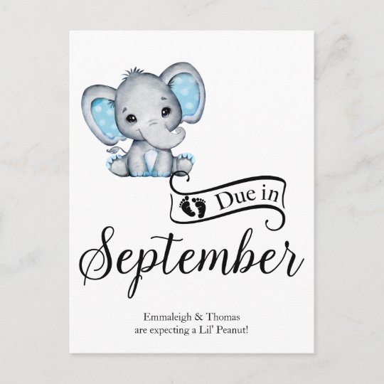 Postal En Septiembre Pequeno Cacahuete Bebe Elefante Zazzle Es