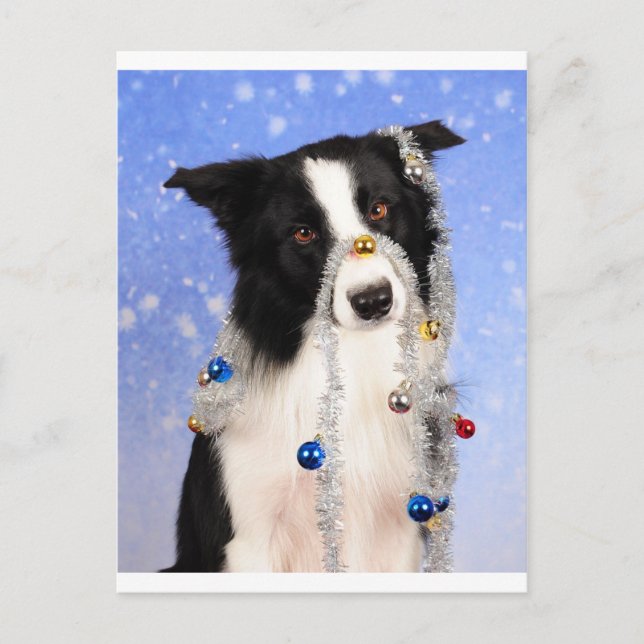 Postal ¿En serio? (Anverso)