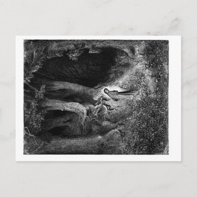 Postal en una madera oscura (Anverso)