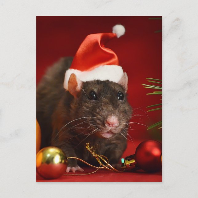 Postal Enano enojado. (Anverso)