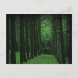 Postal encantada del bosque