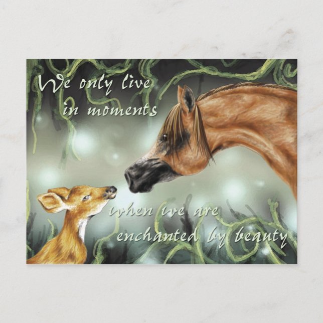 Postal Encantado por la belleza (Anverso)