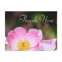 encantadora rosa  boda de flores silvestre rosa gr