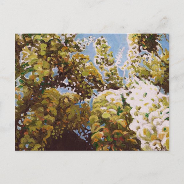 Postal Encima en de las glicinias 2011 (Anverso)