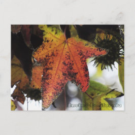 Postal Encino California