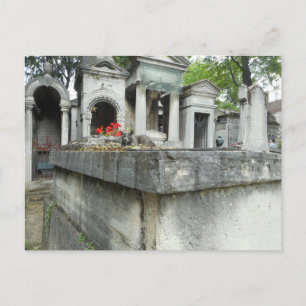 Postal ¡Encuentra un gato!