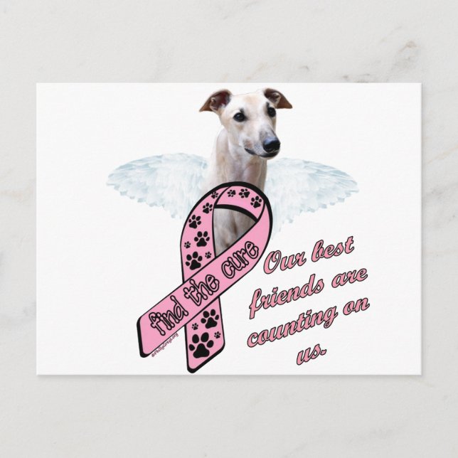 Postal Encuentre las alas del ~ de la curación (Anverso)