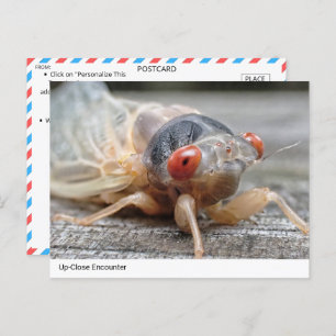 Postal Encuentro de acercamiento: El intrigante mundo de 