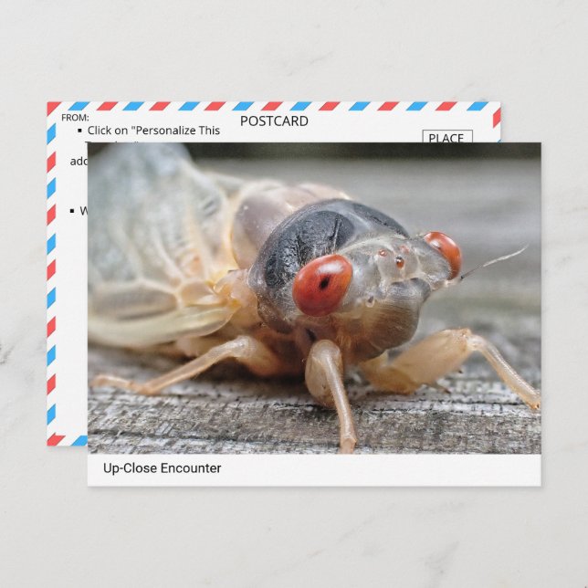 Postal Encuentro de acercamiento: El intrigante mundo de  (Anverso / Reverso)