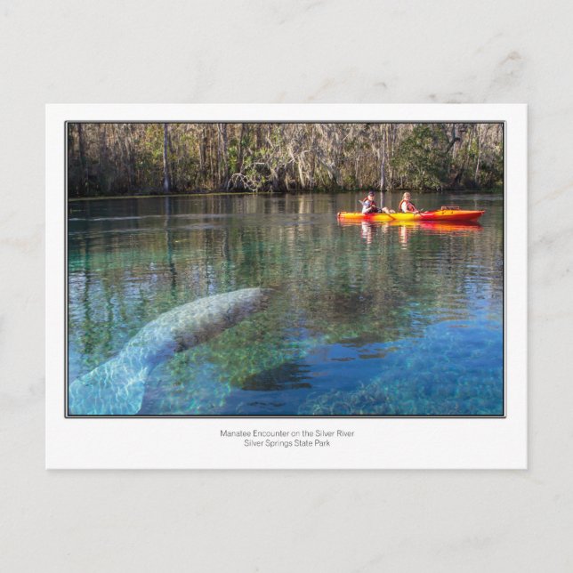 Postal Encuentro de Manatee (Anverso)