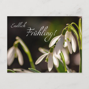 Postal ¡Endlich Frühling!