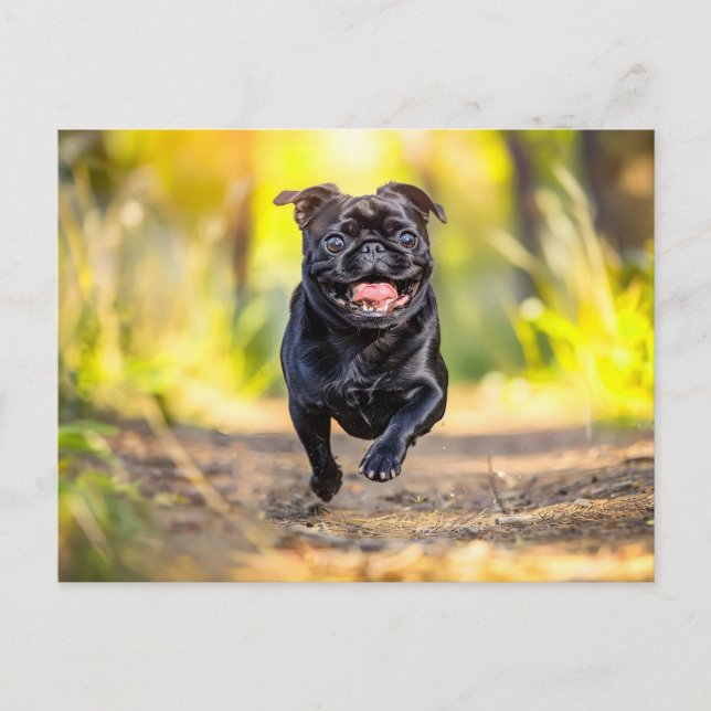 Postal Energetic Pug Running Through Forest (Anverso)