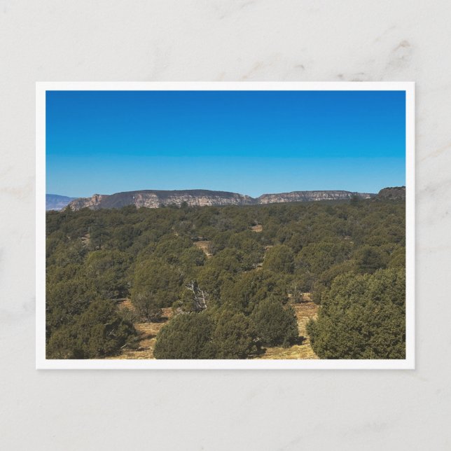 Postal energía espiritual (Anverso)