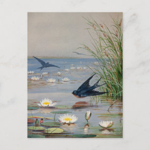 Postal Enero   Fidelia Bridges