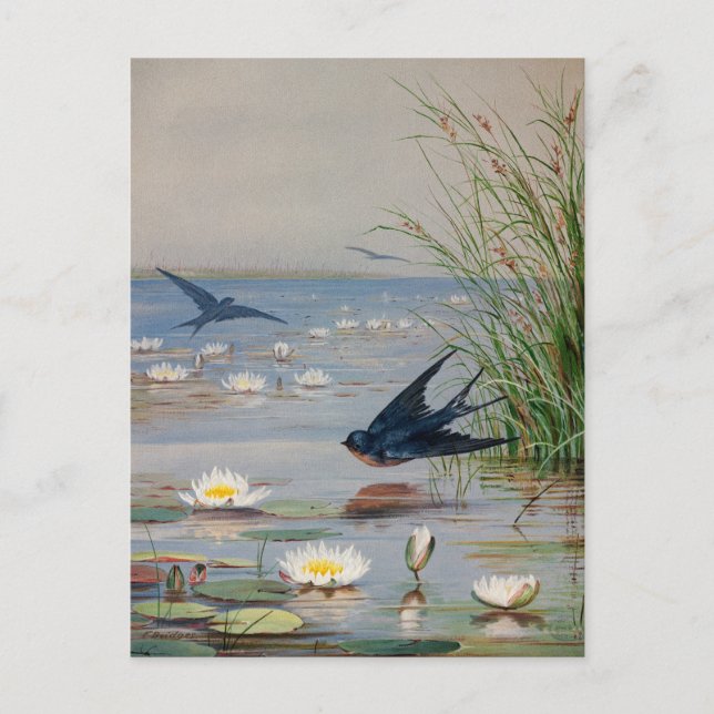 Postal Enero | Fidelia Bridges (Anverso)