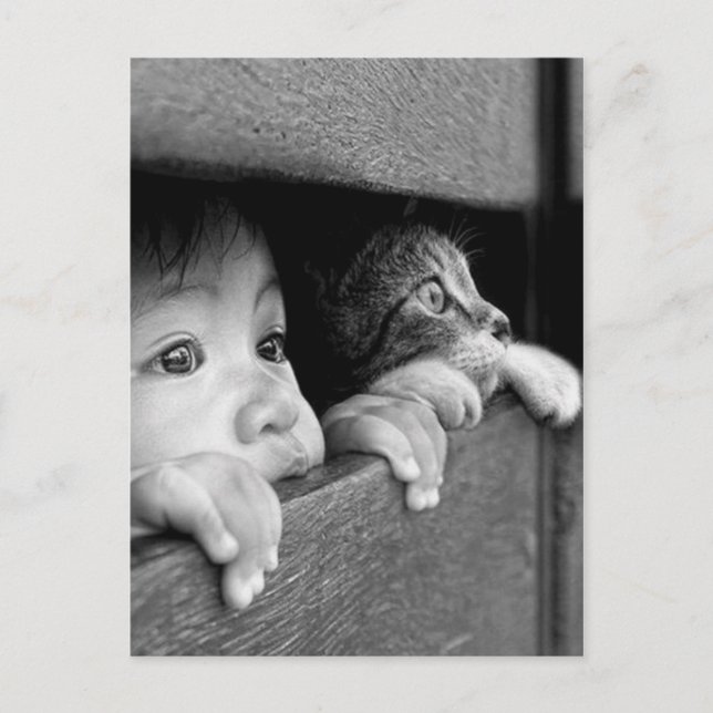 Postal Enfant et chat (Anverso)