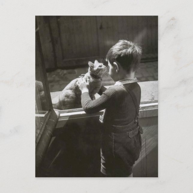 Postal Enfant et son chat - Willy Ronis (Anverso)
