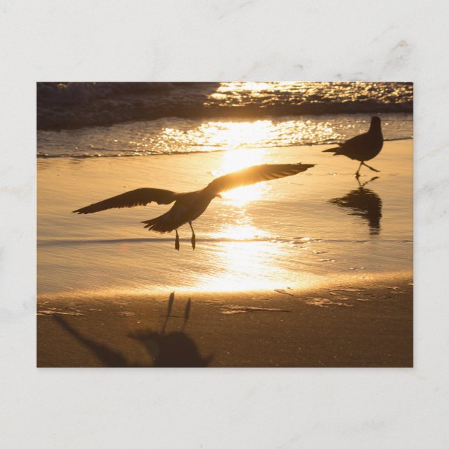 Postal Enfoque de aterrizaje (Anverso)