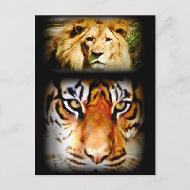 Postal Enfoque y valor_ (Anverso)