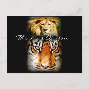 Postal Enfoque y valor_