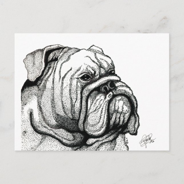 POSTAL ENGLISH BULLDOG (Anverso)