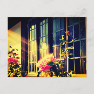 Postal English Rose
