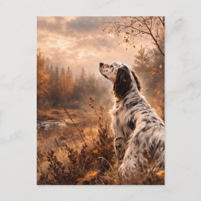 Postal English Setter (Anverso)