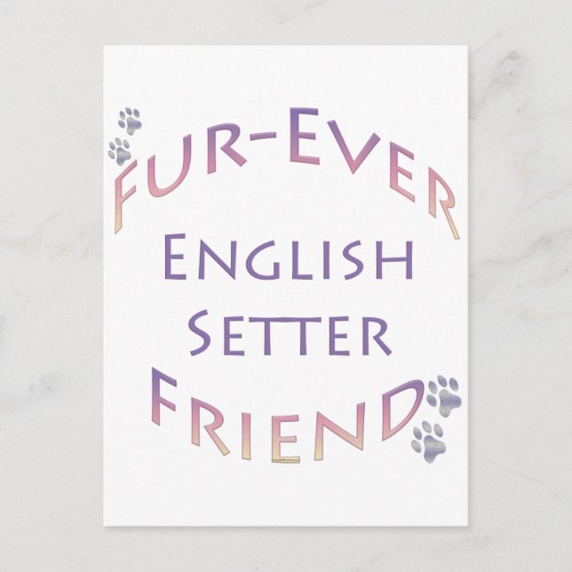 Postal English Setter Furever (Anverso)