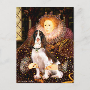 Postal English Springer (Liv) - Reina