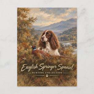 Postal English Springer Spaniel