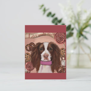 Postal English Springer Spaniel