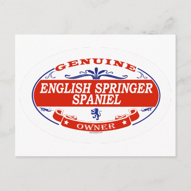 Postal English Springer Spaniel  (Anverso)