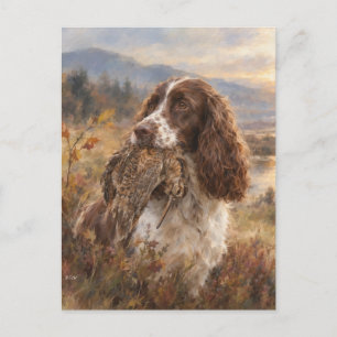 Postal English Springer Spaniel