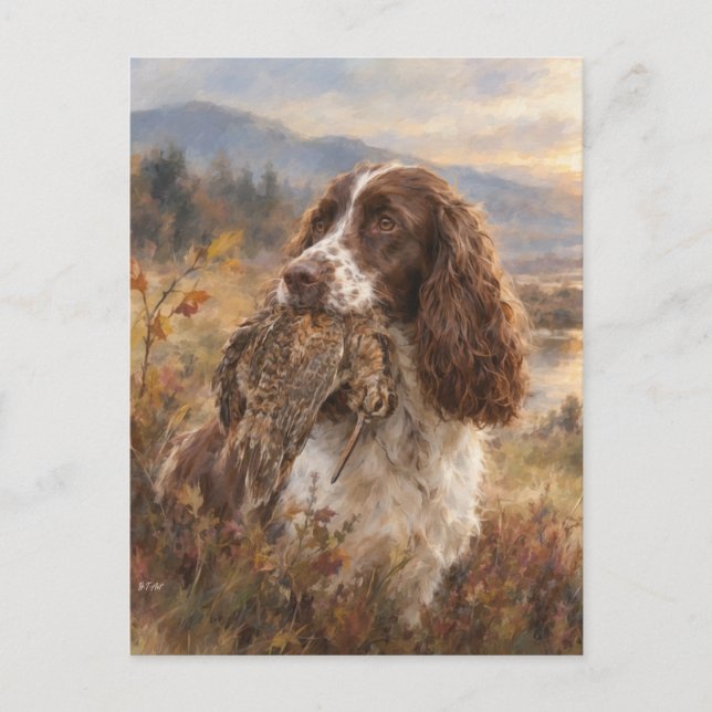 Postal English Springer Spaniel  (Anverso)