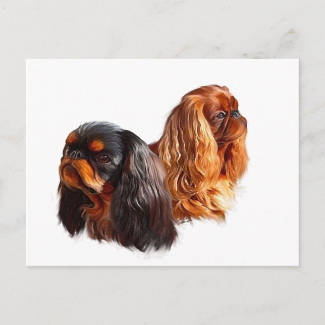 Postal English Toy Spaniel (Anverso)