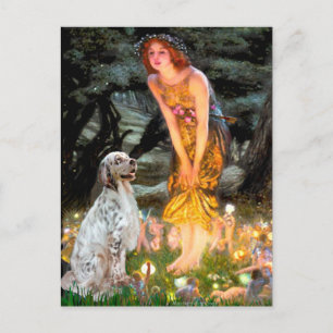 Postal EnglishSetter 1 - Mediana de la Noche