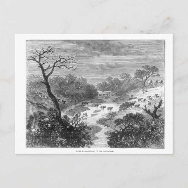 Postal Engrase antiguo- Paisaje con ganado (Anverso)